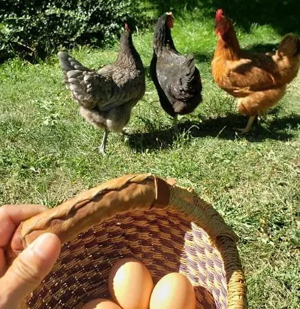 La Ferme De לינה וארוחת בוקר 3*