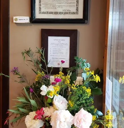 La Ferme De לינה וארוחת בוקר Loubens-Lauragais