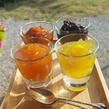 Alojamento de Acomodação e Pequeno-almoço La Ferme De Loubens-Lauragais