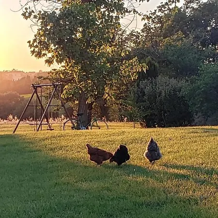 Alojamento de Acomodação e Pequeno-almoço La Ferme De