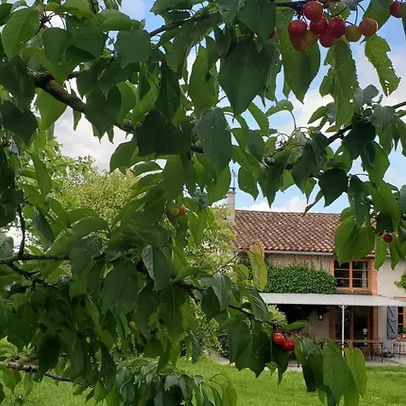 La Ferme De Loubens-Lauragais
