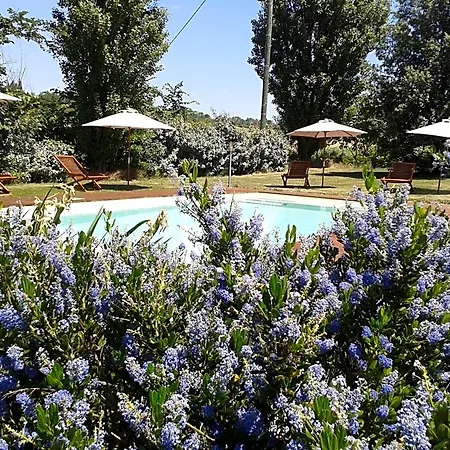 La Ferme De Couette-café Loubens-Lauragais