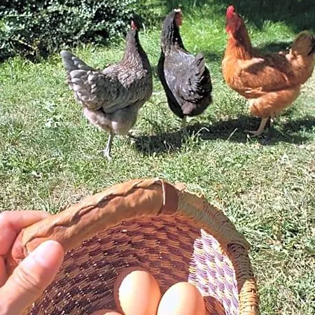 La Ferme De